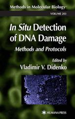 کتاب In Situ Detection of DNA Damage: Methods and Protocols نسخه کامل