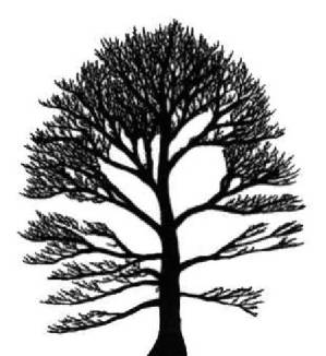 کتاب Tree automata techniques and applications نسخه کامل